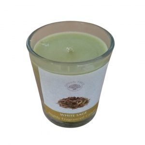 Albero verde salvia profumato tazza candela bianca