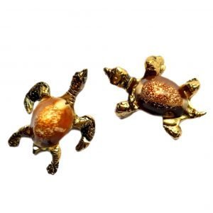 Metall-Schildkröte mit monetären Caputserpentis