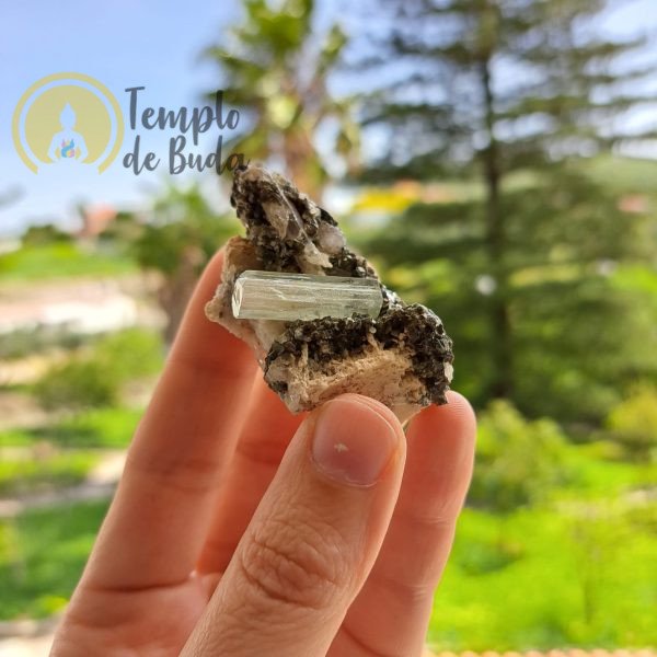 Água Marinha e Pontas de Cristal de Quartzo Branco em Lepidolita Matriz